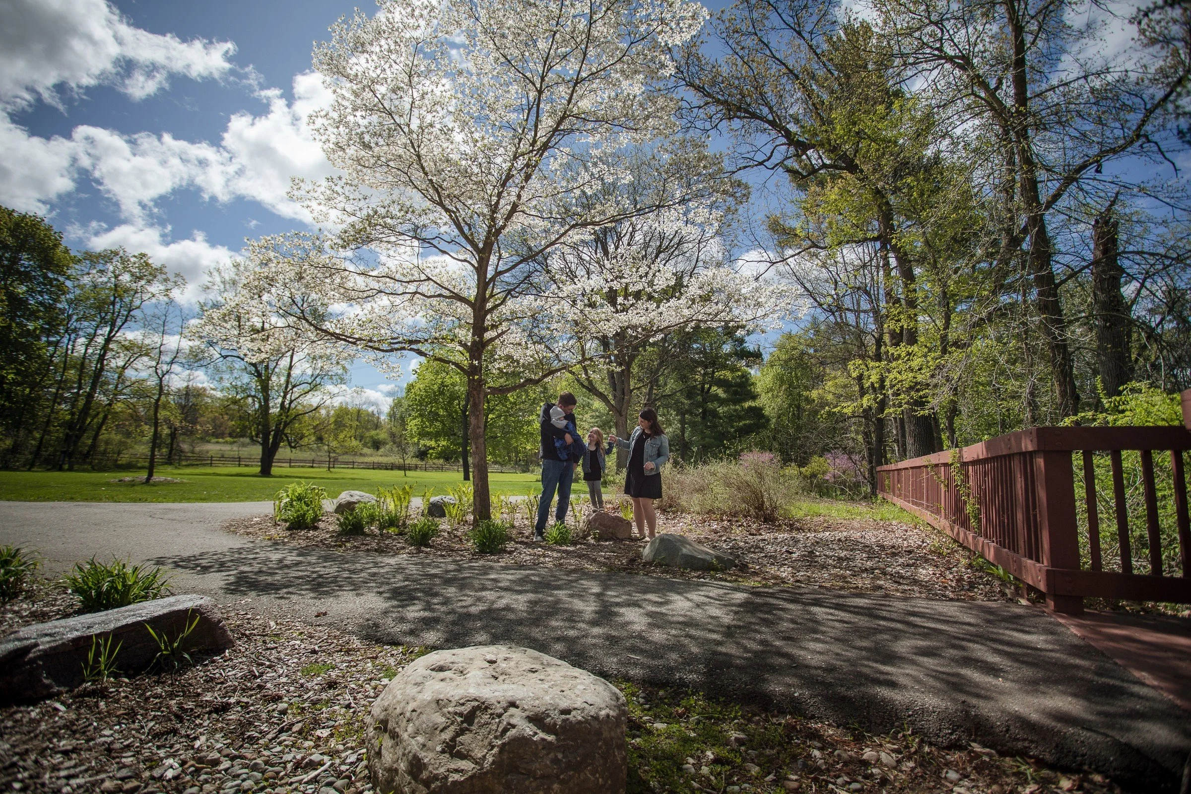 People enjoying a day outdoors in a park with blooming trees, a bright blue sky, and a pathway bordered by rocks and greenery.