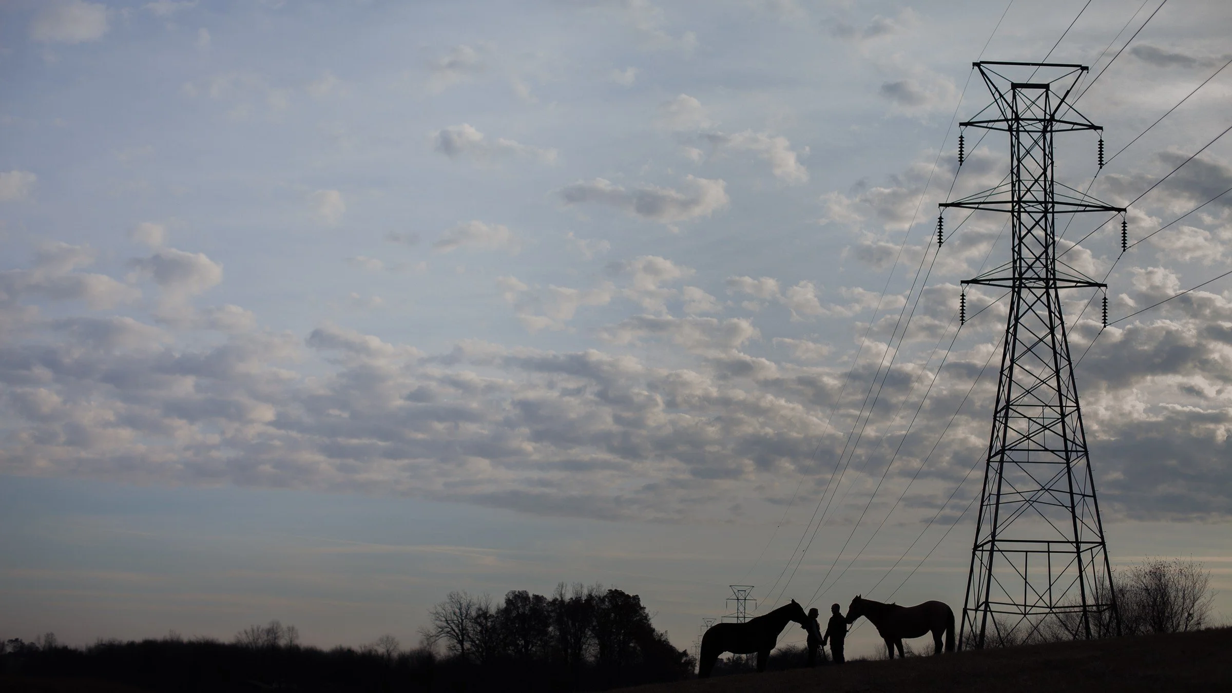 Silhouette of two horses and two people in a rural area with power lines, trees, and a cloudy sky in the background.