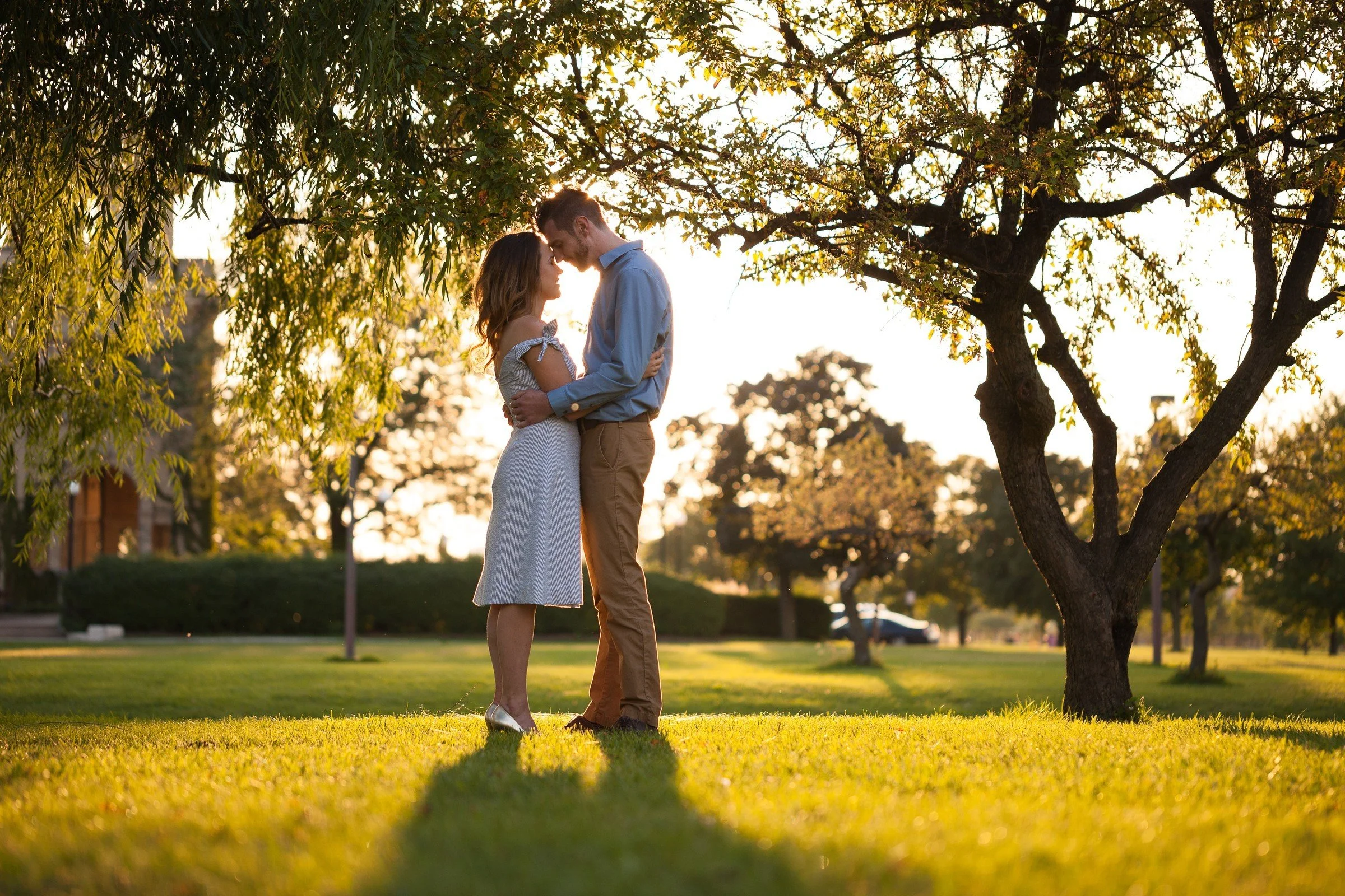 A couple kissing on a grassy field during sunset, surrounded by trees in a park.