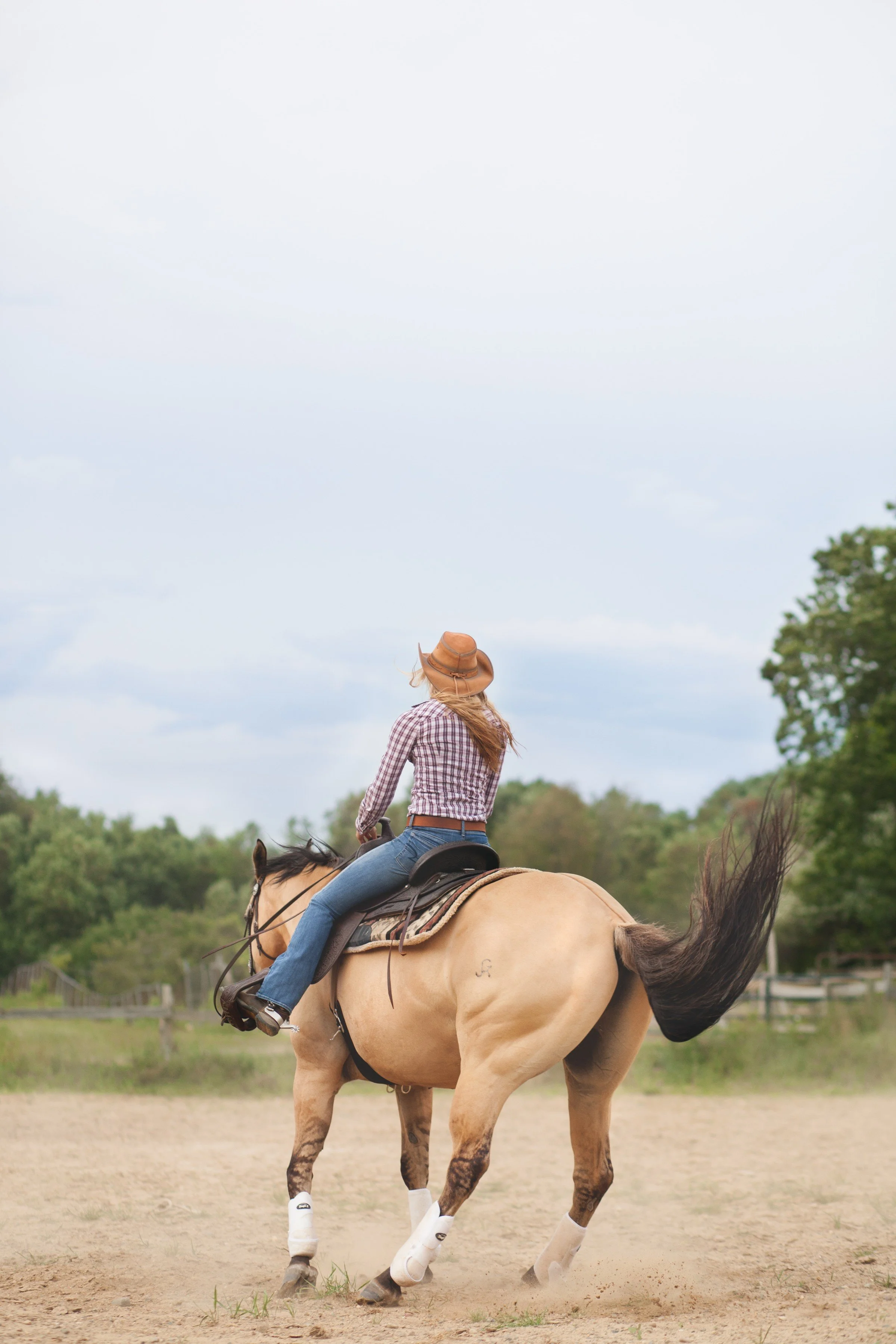 A woman riding a light brown horse in an open field with trees and a cloudy sky in the background.