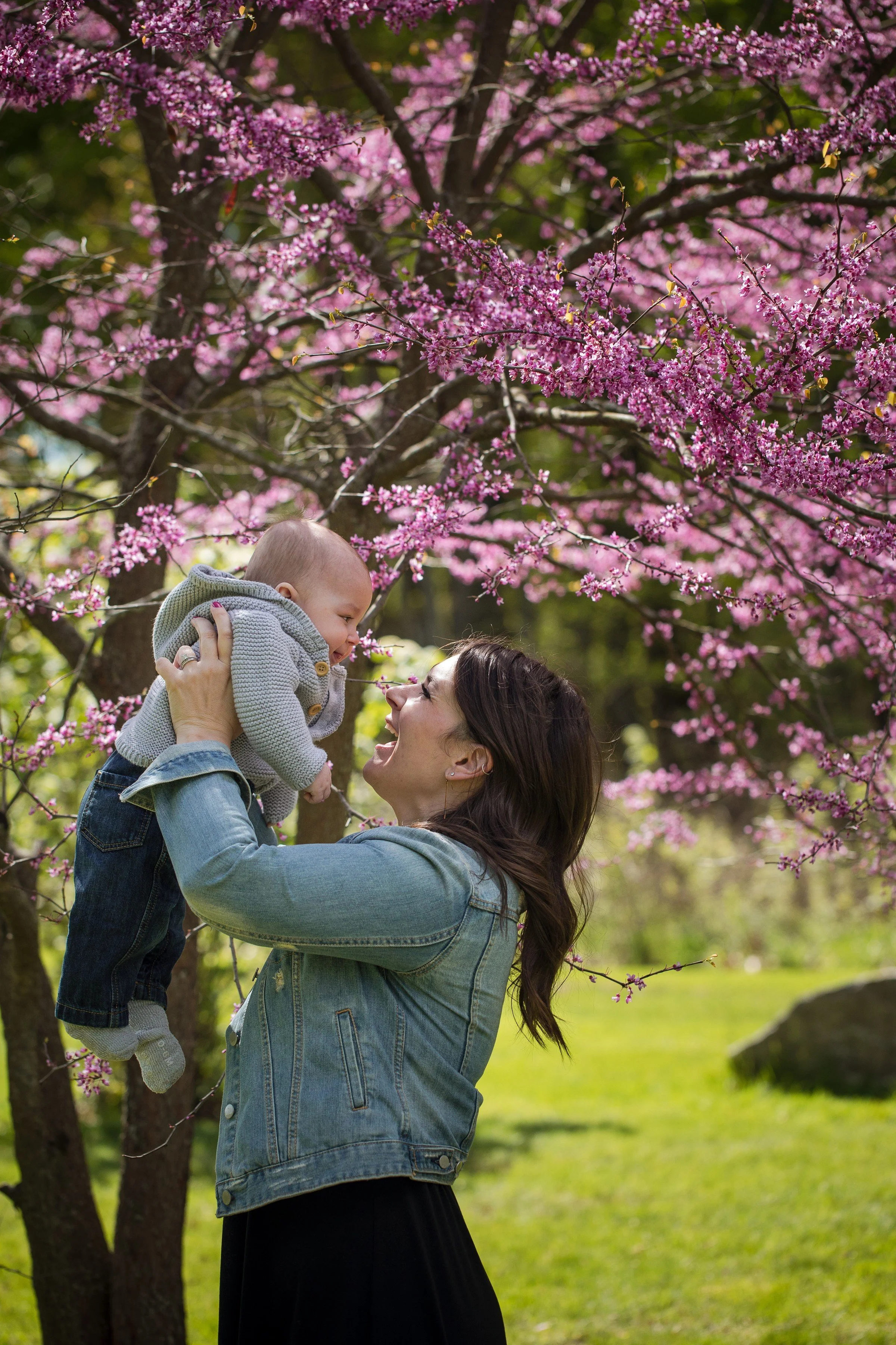 A woman holding a baby up in the air under a blooming pink cherry blossom tree during daytime.