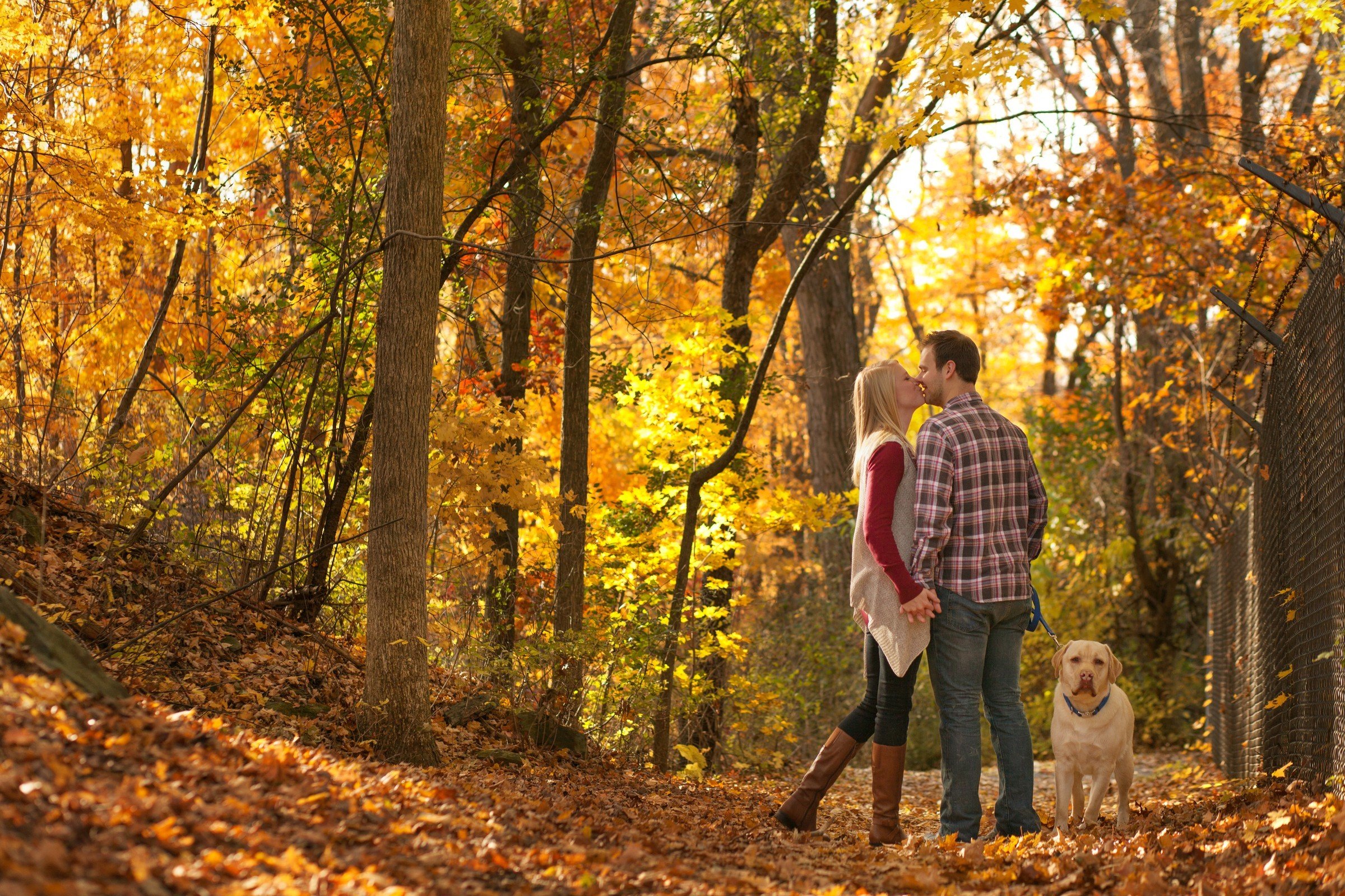 A couple is kissing in a forest during fall, holding hands, with a yellow Labrador retriever on a leash nearby. The trees are full of colorful autumn leaves, and the ground is covered with fallen leaves.