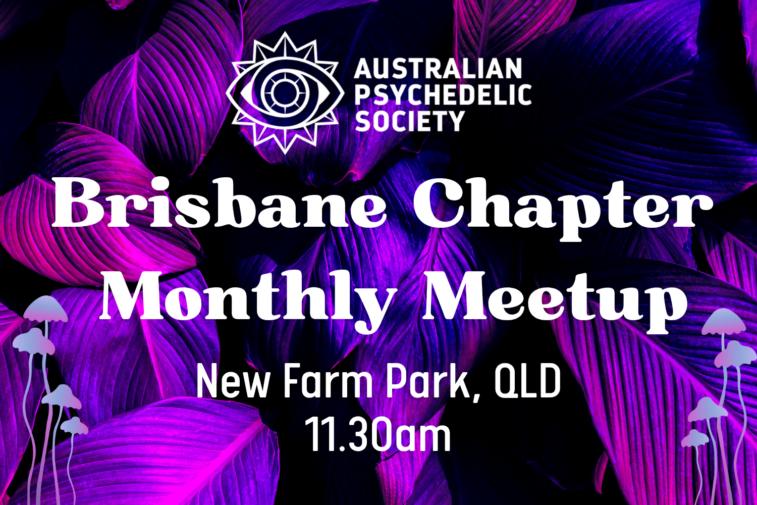 Brisbane Chapter Monthly Meetup 