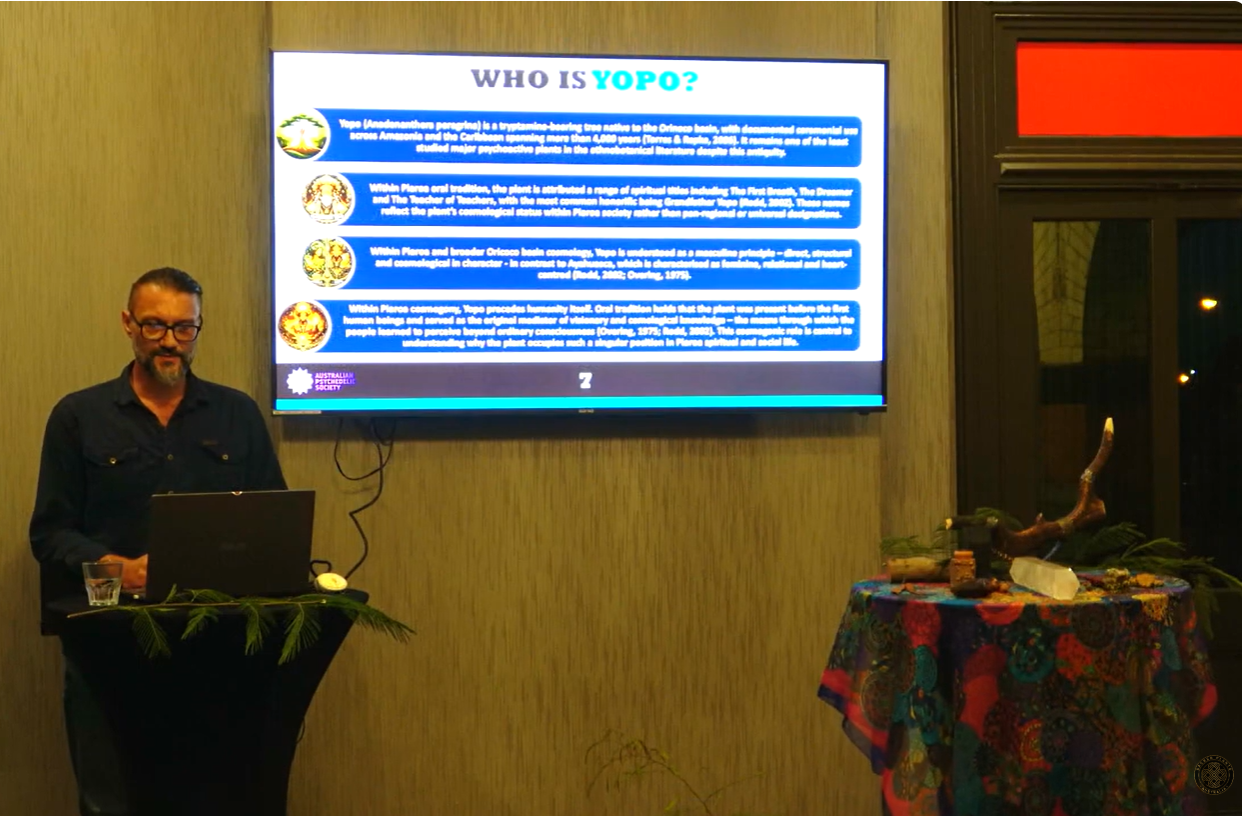 Meet Yopo, Ayahuasca's Grandfather: the Sacred Plant No One's Heard Of.