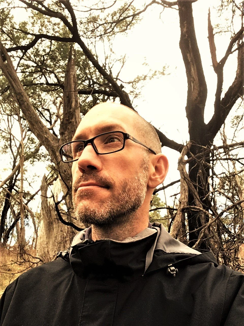 A man with glasses and a beard wearing a black jacket is outdoors in front of a tree with dark, twisted branches.