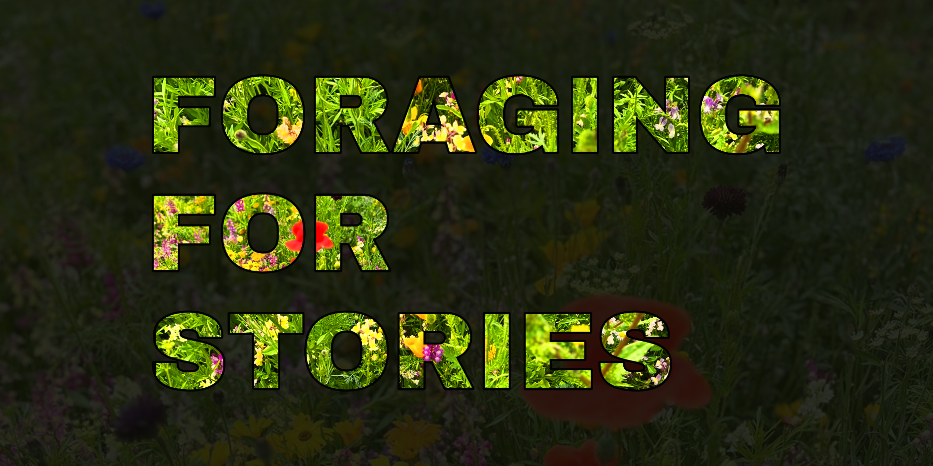  Foraging For Stories	 