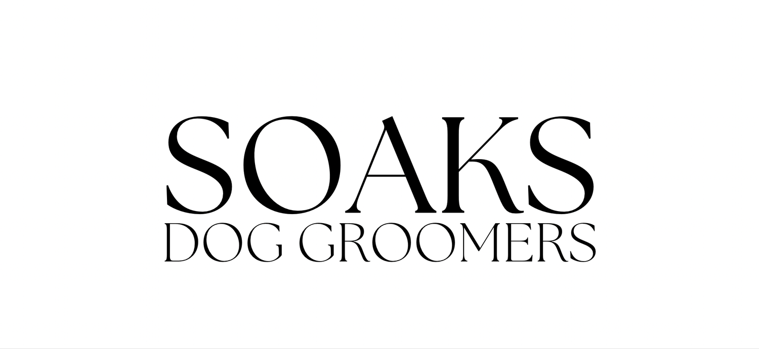 Soaks Dog Groomers 