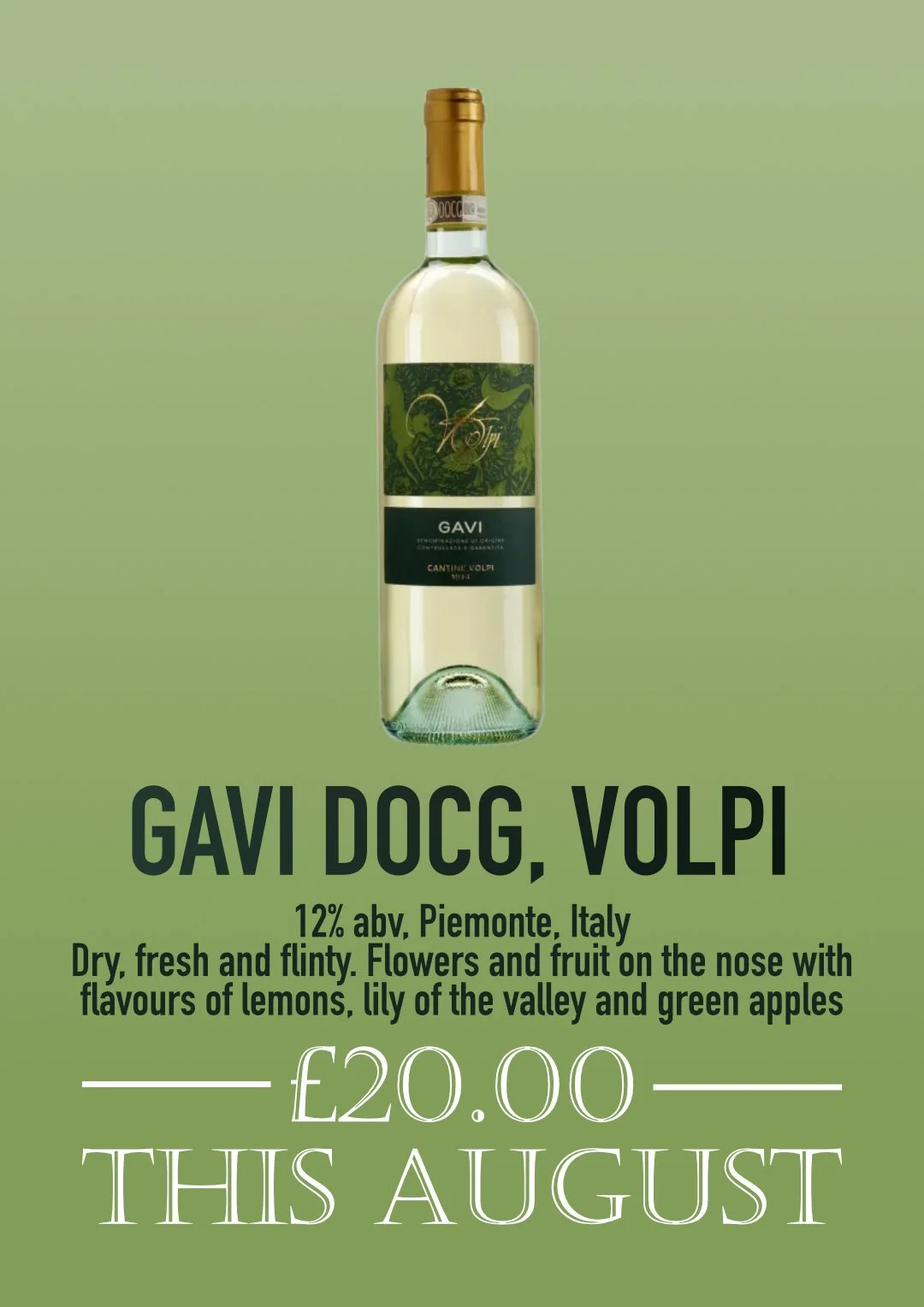 Aug Gavi Web.jpg