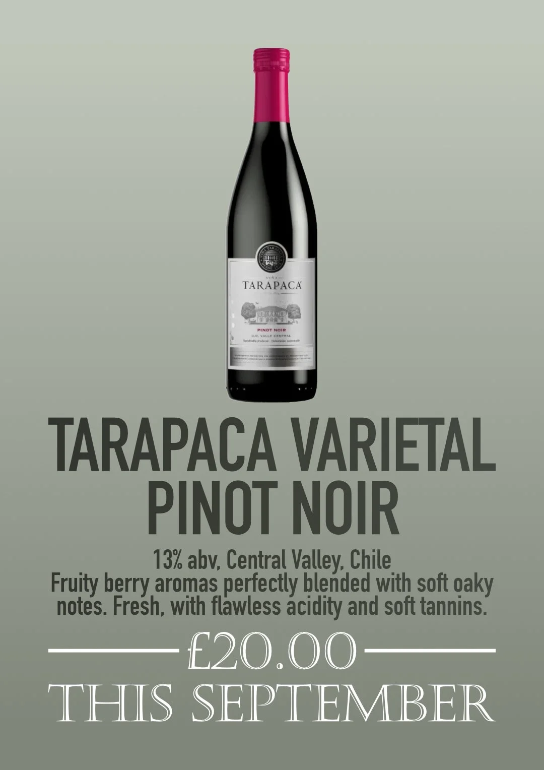 26.09 Wines Pinot Noir Web.jpg