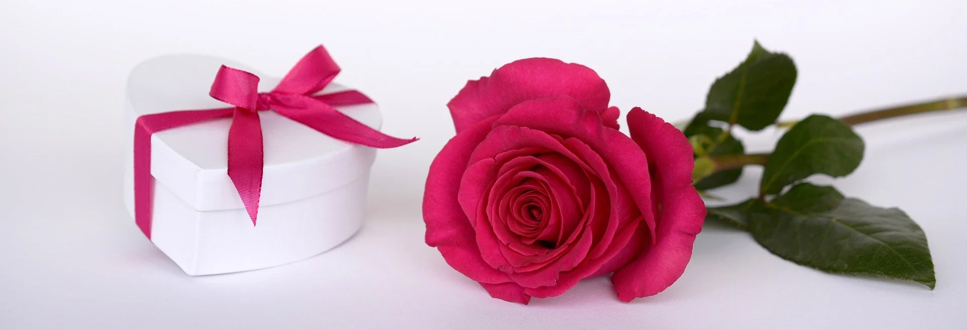 rose-g7b4d8b02f_1920.jpg