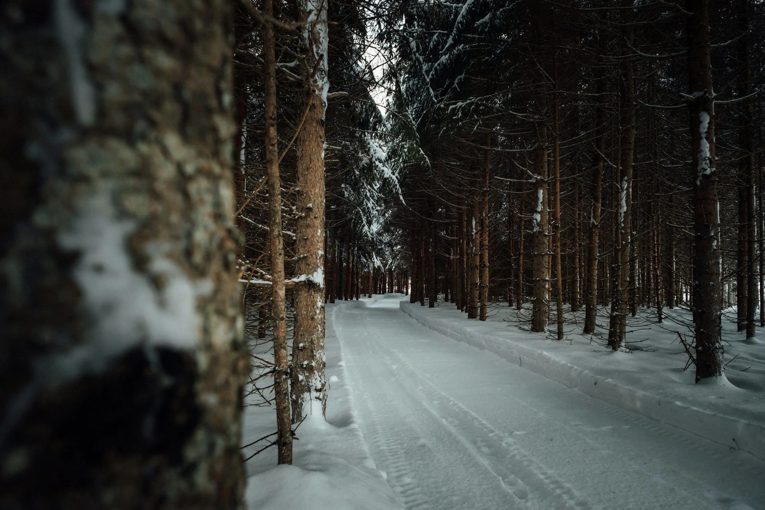 God is just around the corner…reflections on Luke 21.25-36