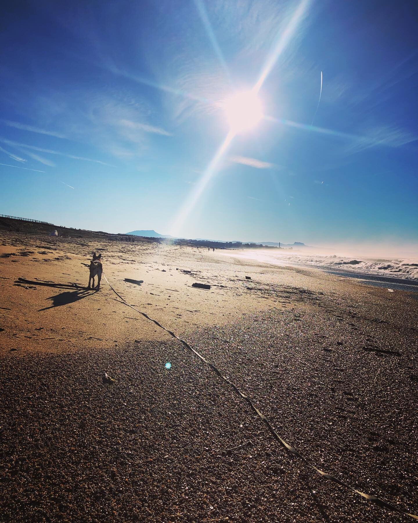 Pensez &agrave; faire des choses qui VOUS font plaisir ❤️

Pour certaines personnes &ccedil;a peut &ecirc;tre la p&ecirc;che, faire du shopping, un peu de sport, promener son chien pour les autres &hellip; 

⚠️ Mais attention le sport n&rsquo;est pas