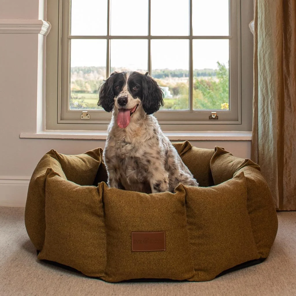 dog den bed