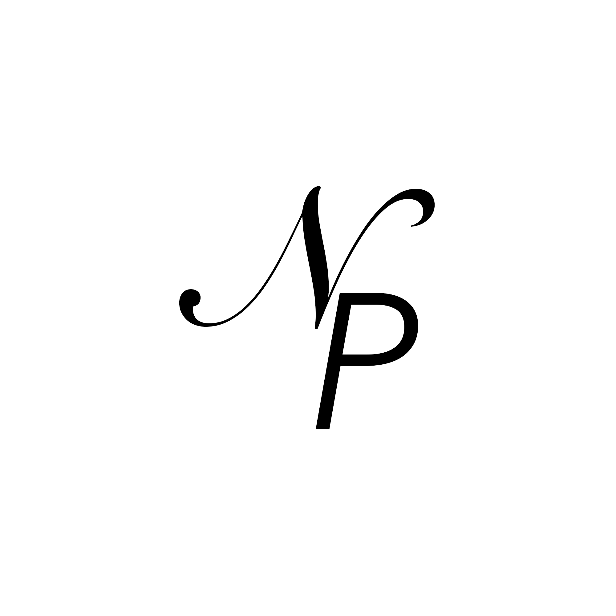 n&p initials bg.png