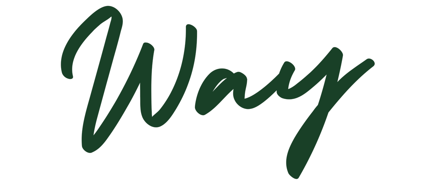 Way Studio