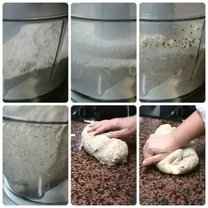 image-asset (3).jpeg