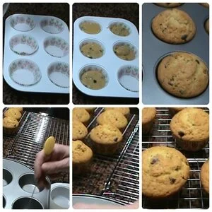 image-asset (2).jpeg