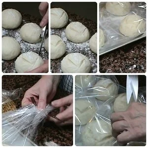 image-asset (2).jpeg