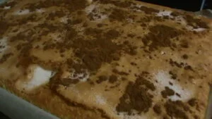 image-asset (3).jpeg