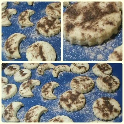 image-asset (3).jpeg