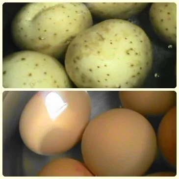 image-asset (1).jpeg