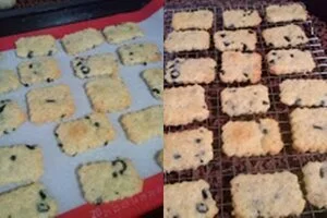 image-asset (4).jpeg