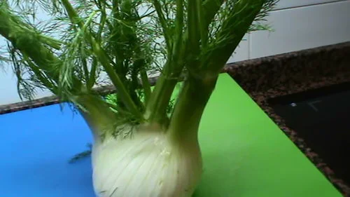 image-asset (4).jpeg