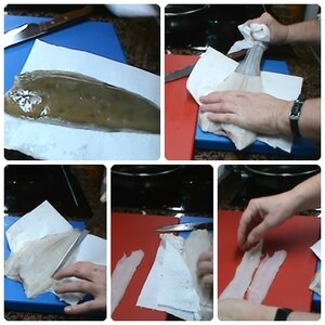 image-asset (2).jpeg