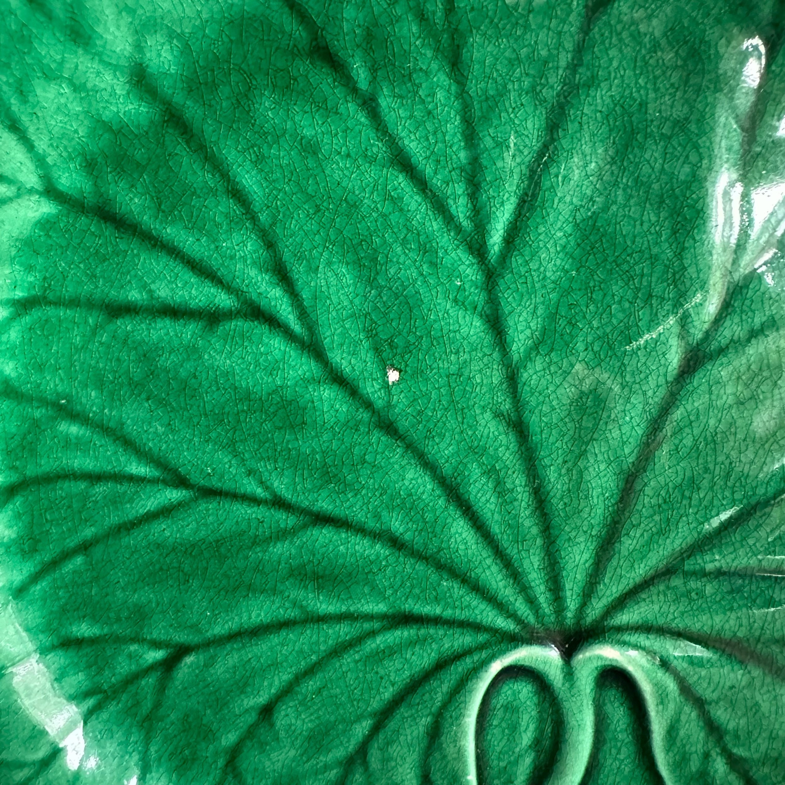 5A2677A8-FC28-42A4-BE9D-8FDB070F0223.jpeg
