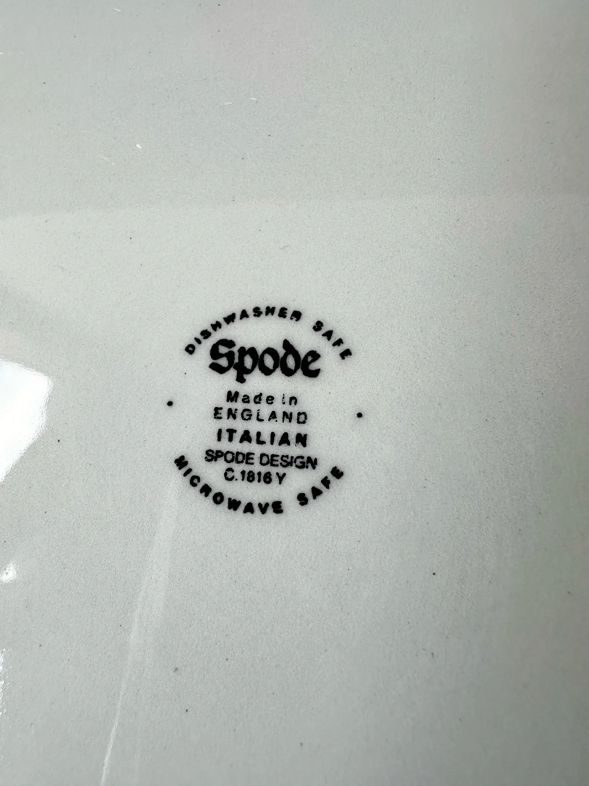 C3C444DC-2593-40D9-9A6A-D61FA8F82DFA.jpeg