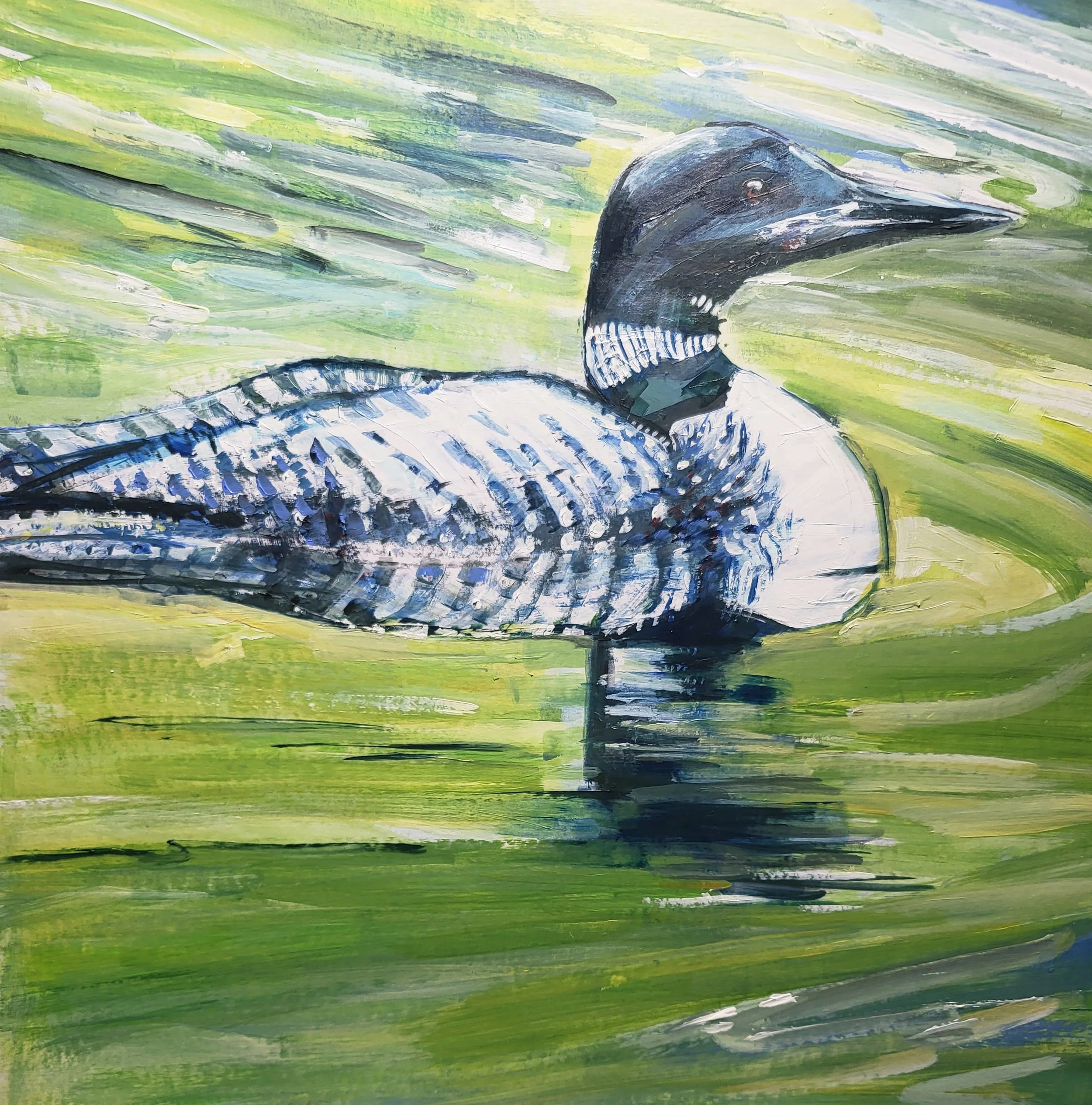 "Great Northern Diver" acrylic on board, 40 x 40 cm