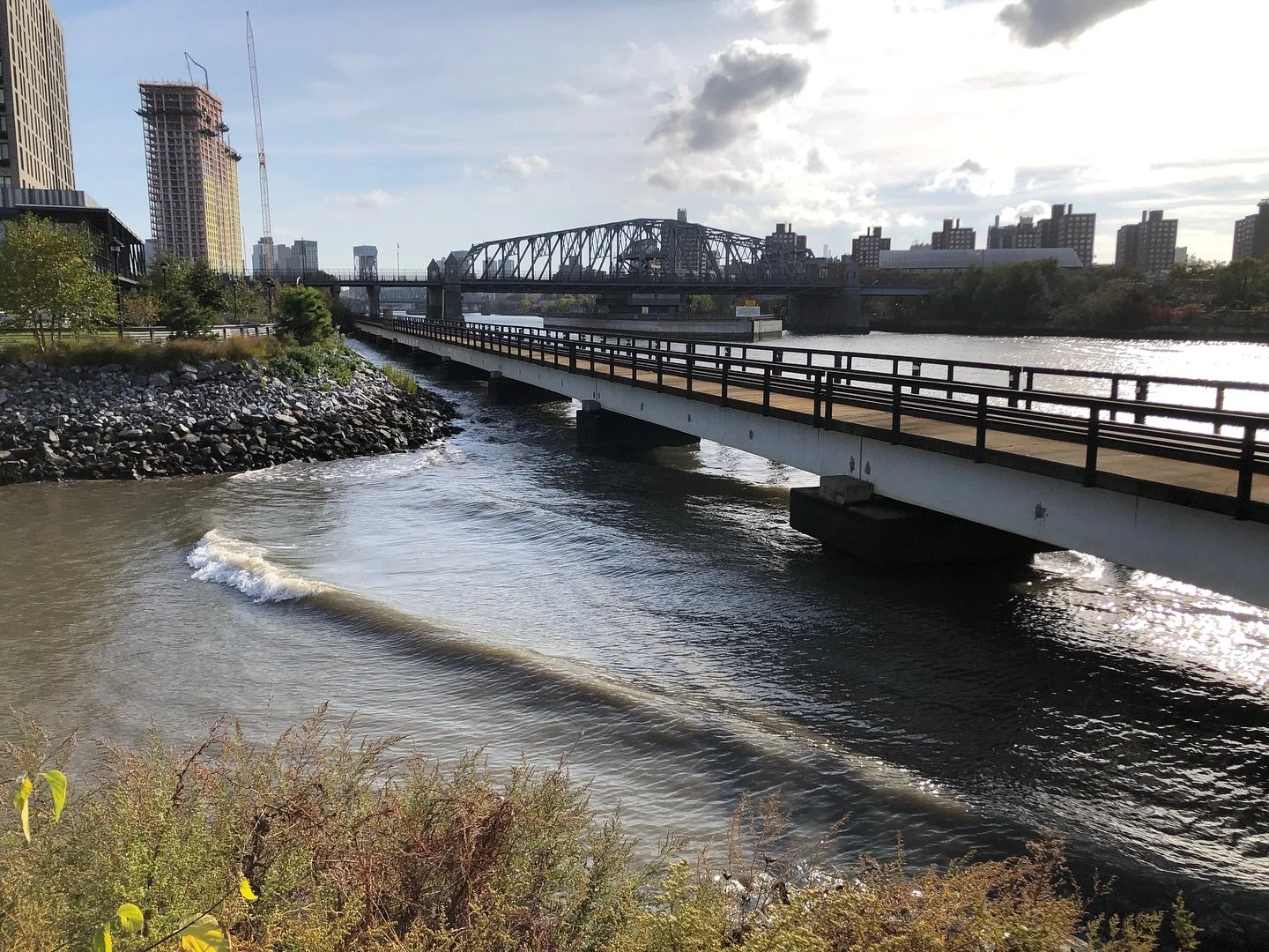 Harlem River swell. 
#millpondpark
