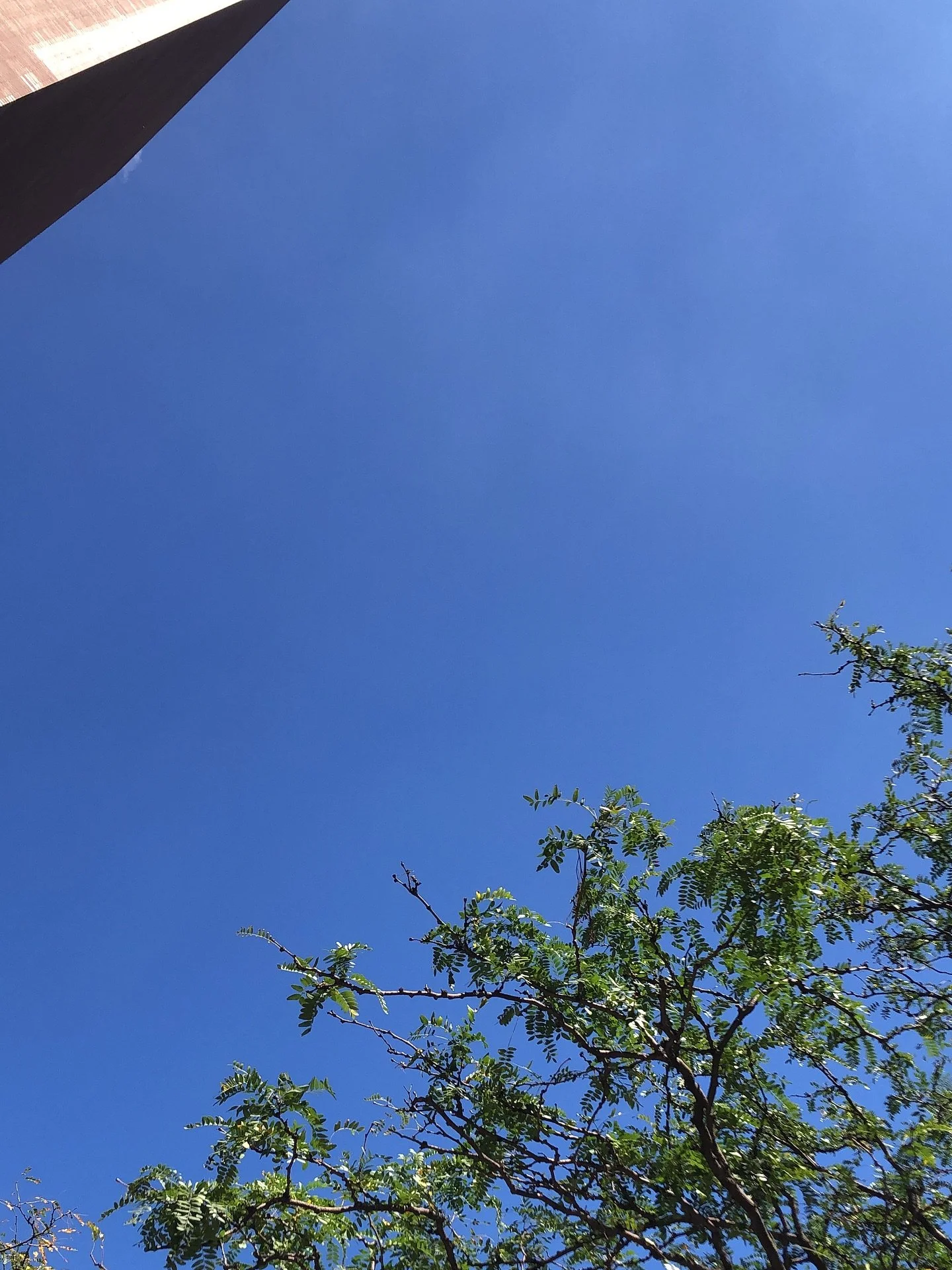 Having no trouble at all getting inside for a meeting.