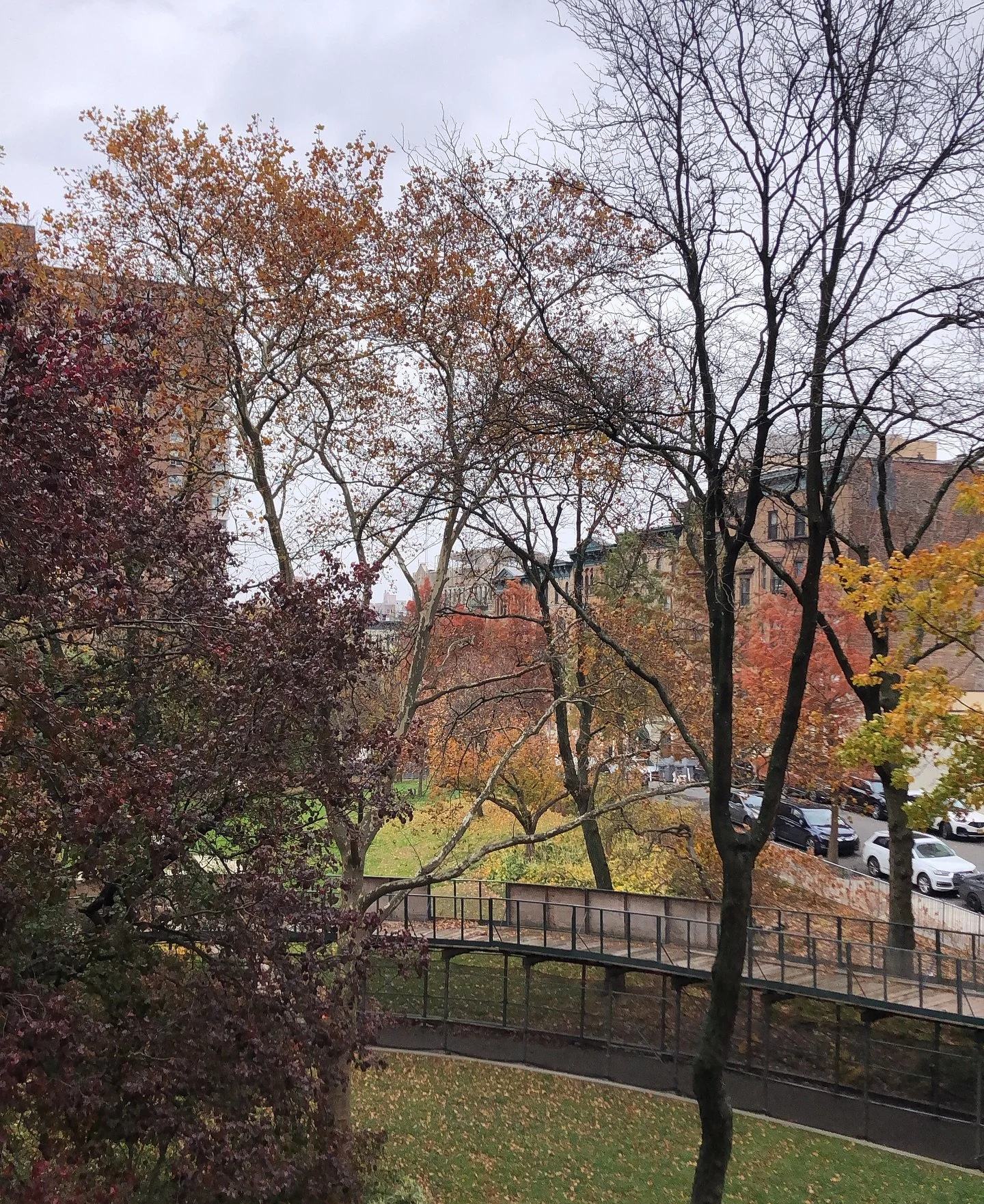 Um It's SNOwing

#leavesfall #snowfall