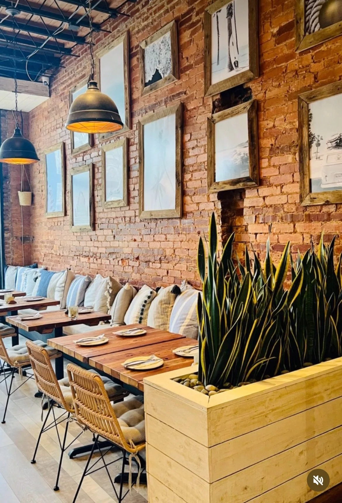 Screenshot 2024-09-19 at 9.31.43 AM.jpeg