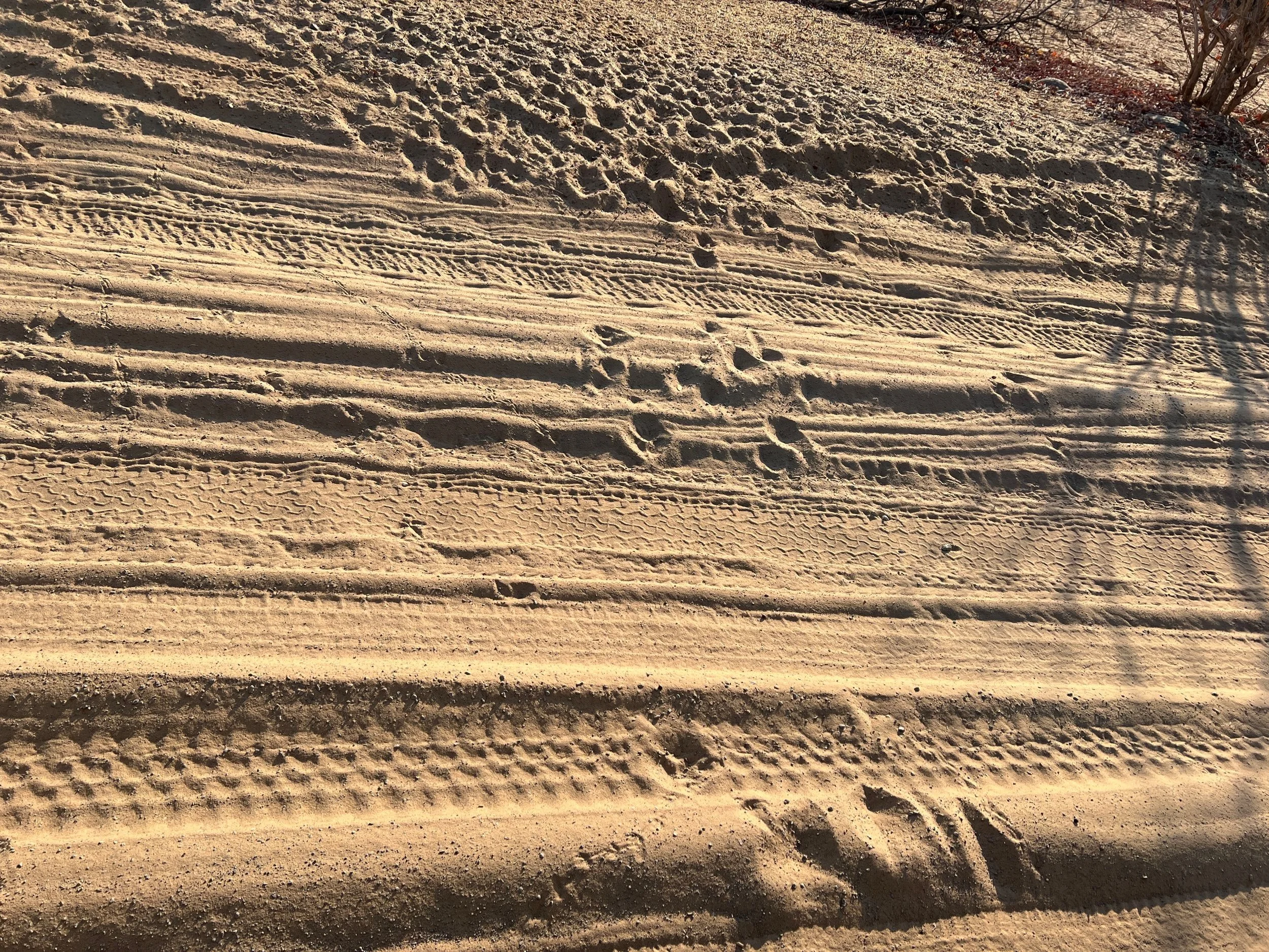 Tracio’r natur ddynol.