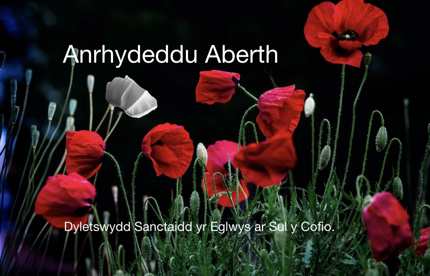 Anrhydeddu Aberth