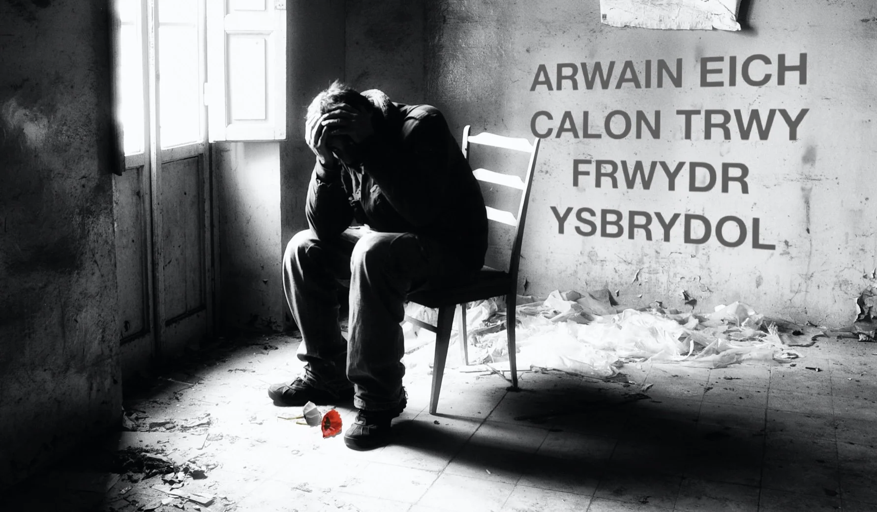 Adleisiau ein harwyr.