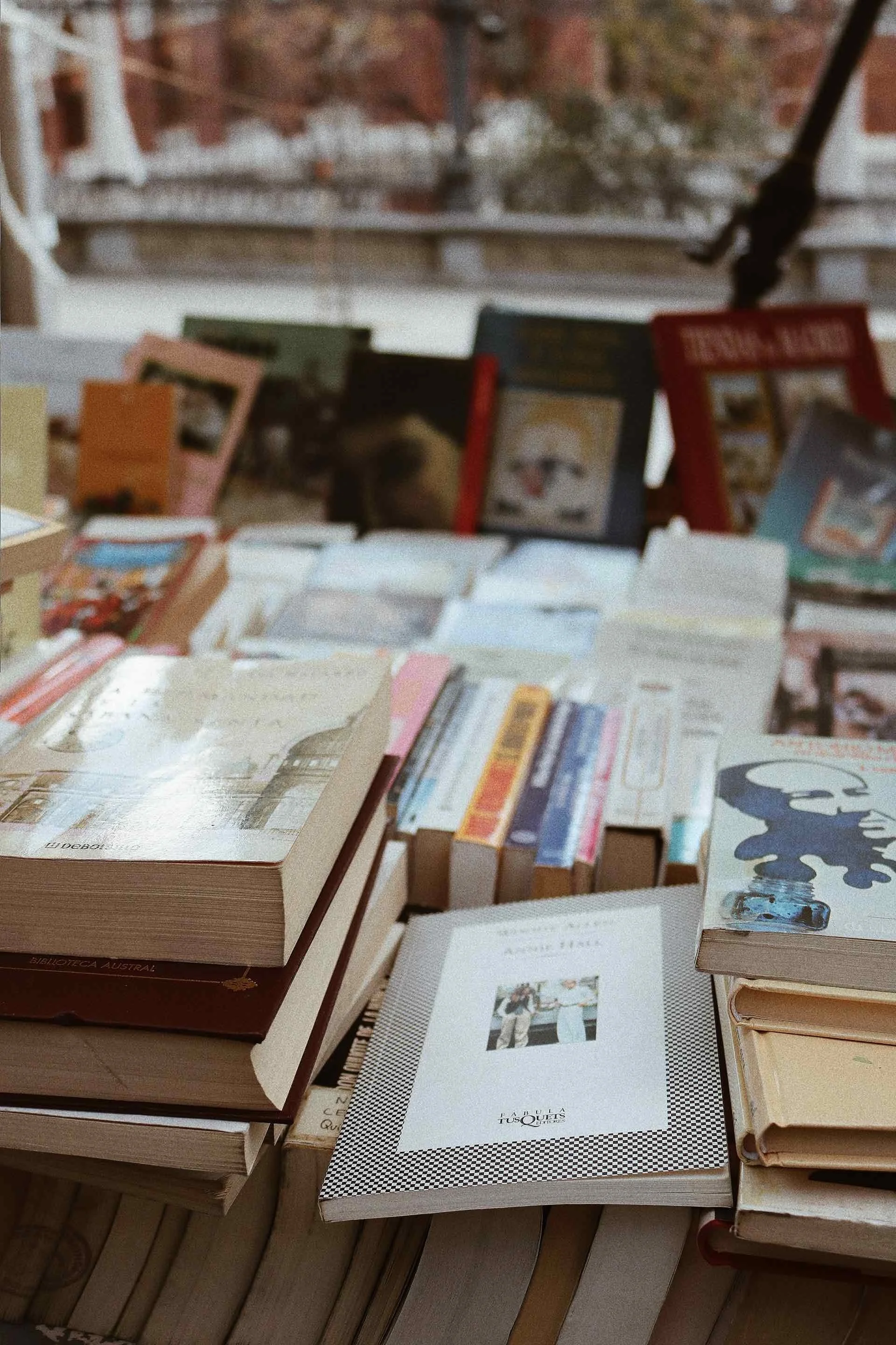 Display of books, some stacked on the side and some facing up or leaning towards the camera.