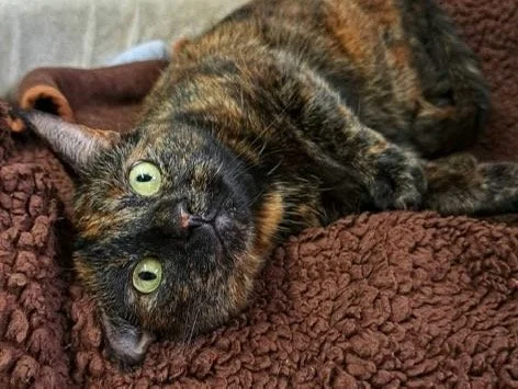 Matilda