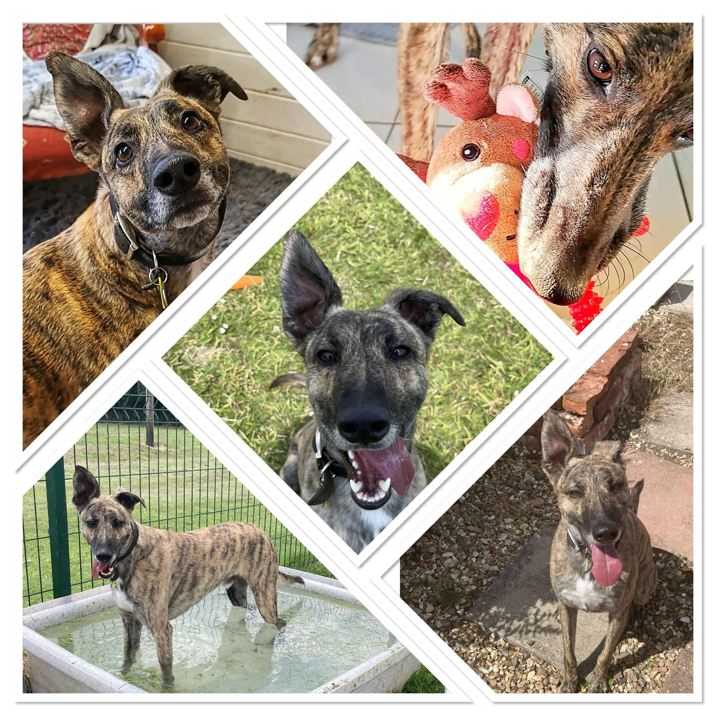 Jethroe A.K.A ‘Jether Lattes’ 