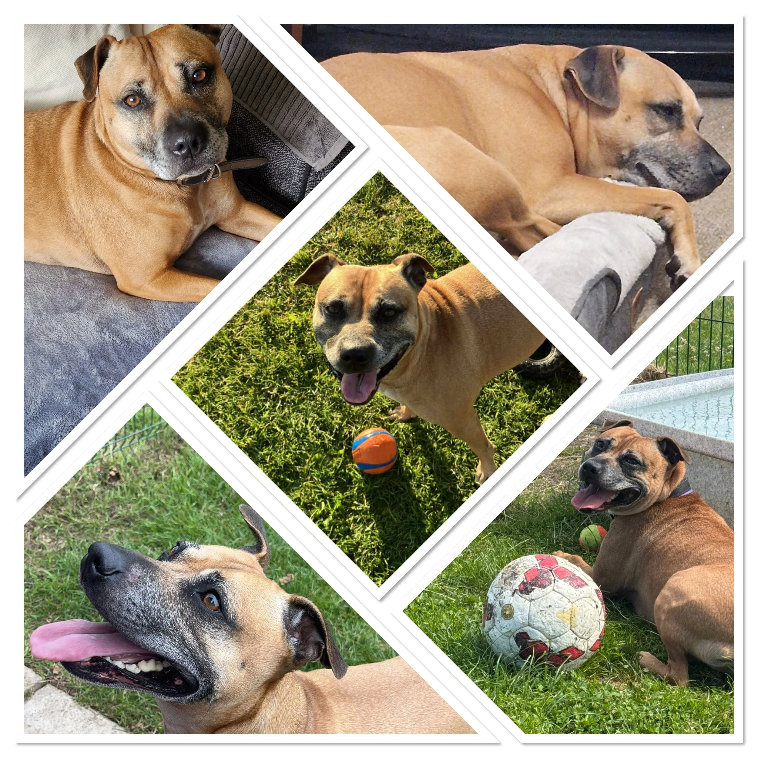 Tilly A.K.A ‘Tilston’