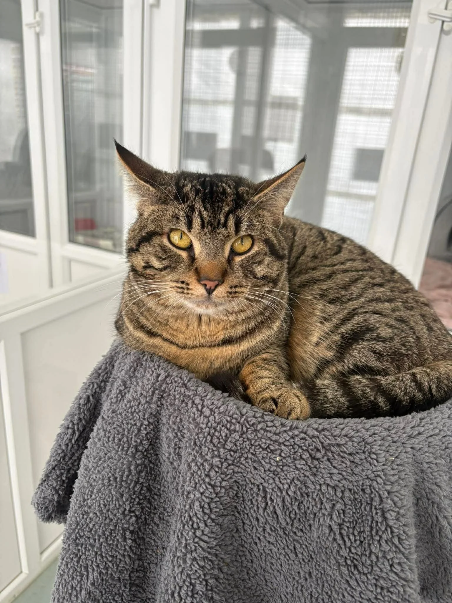 Rocky