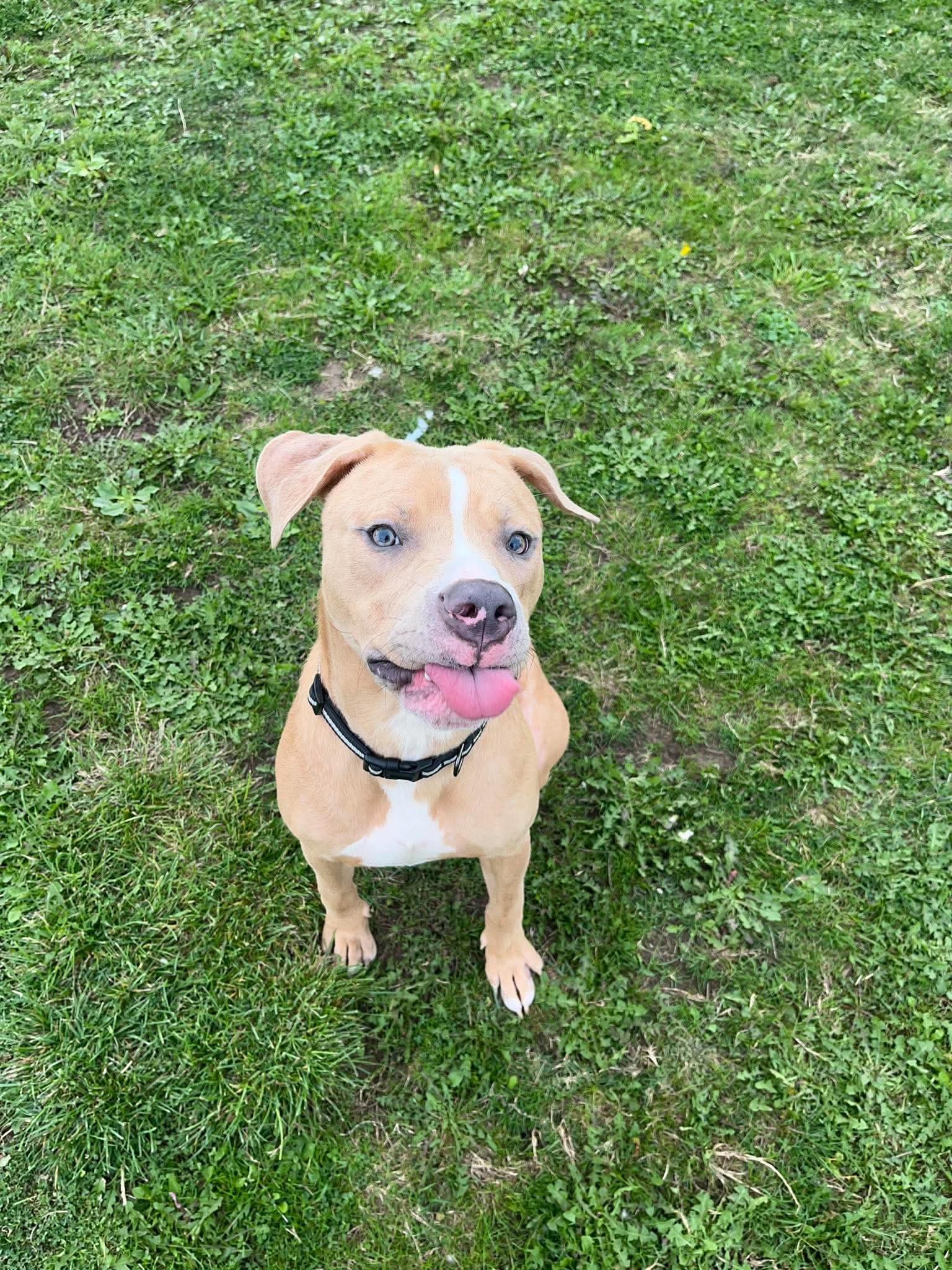 Luca