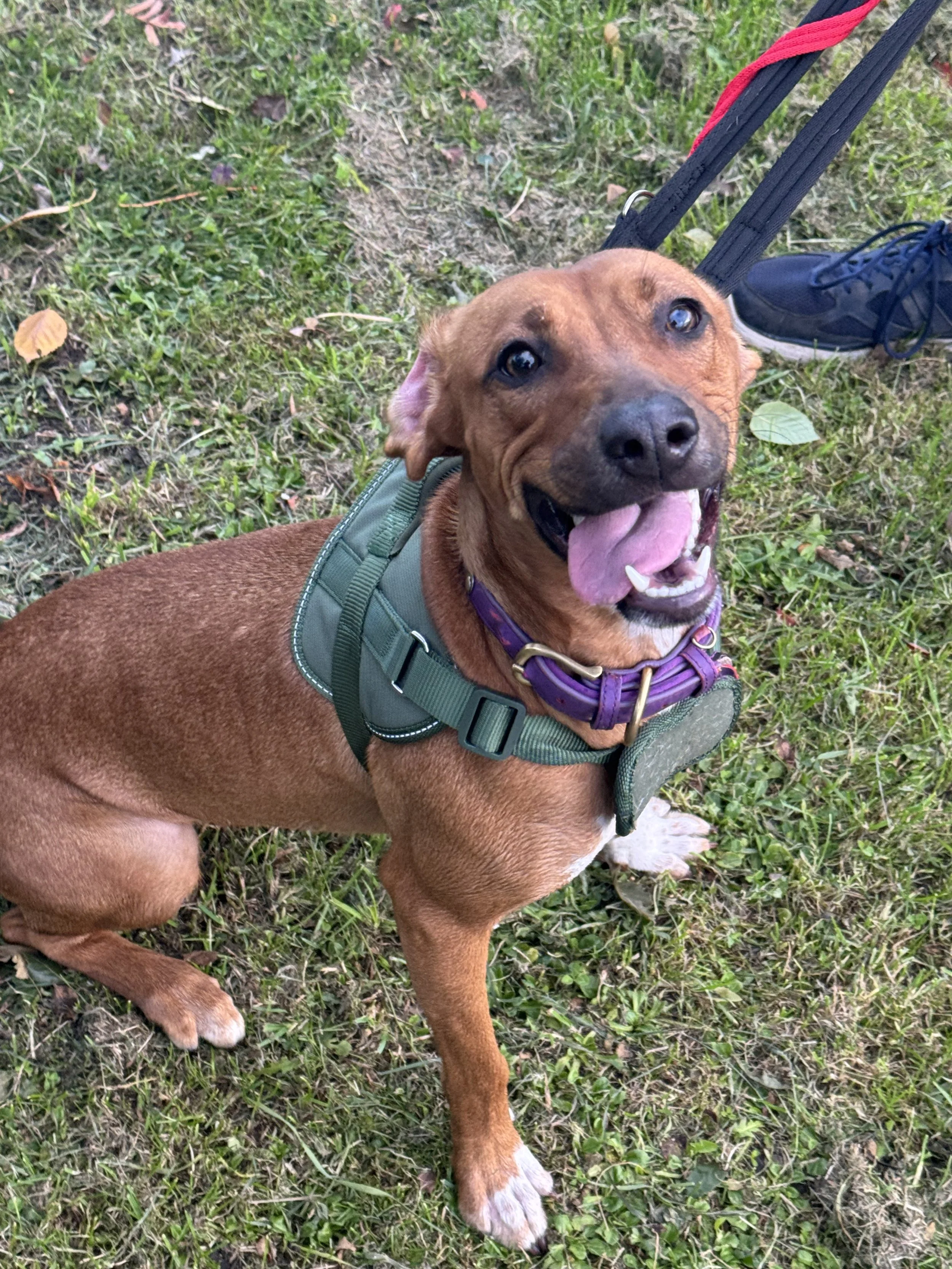 Maggie