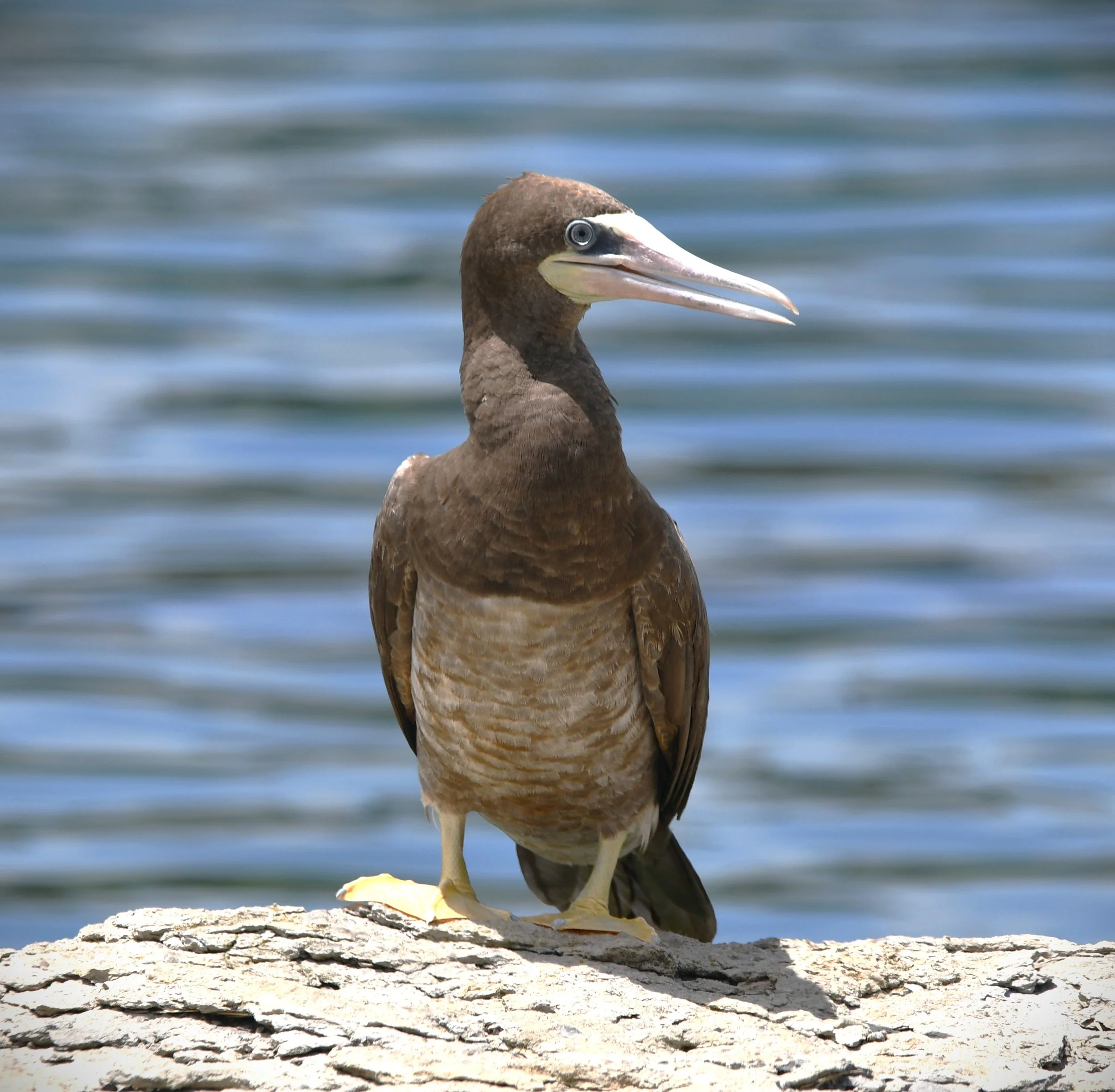 DSC_3202.JPG