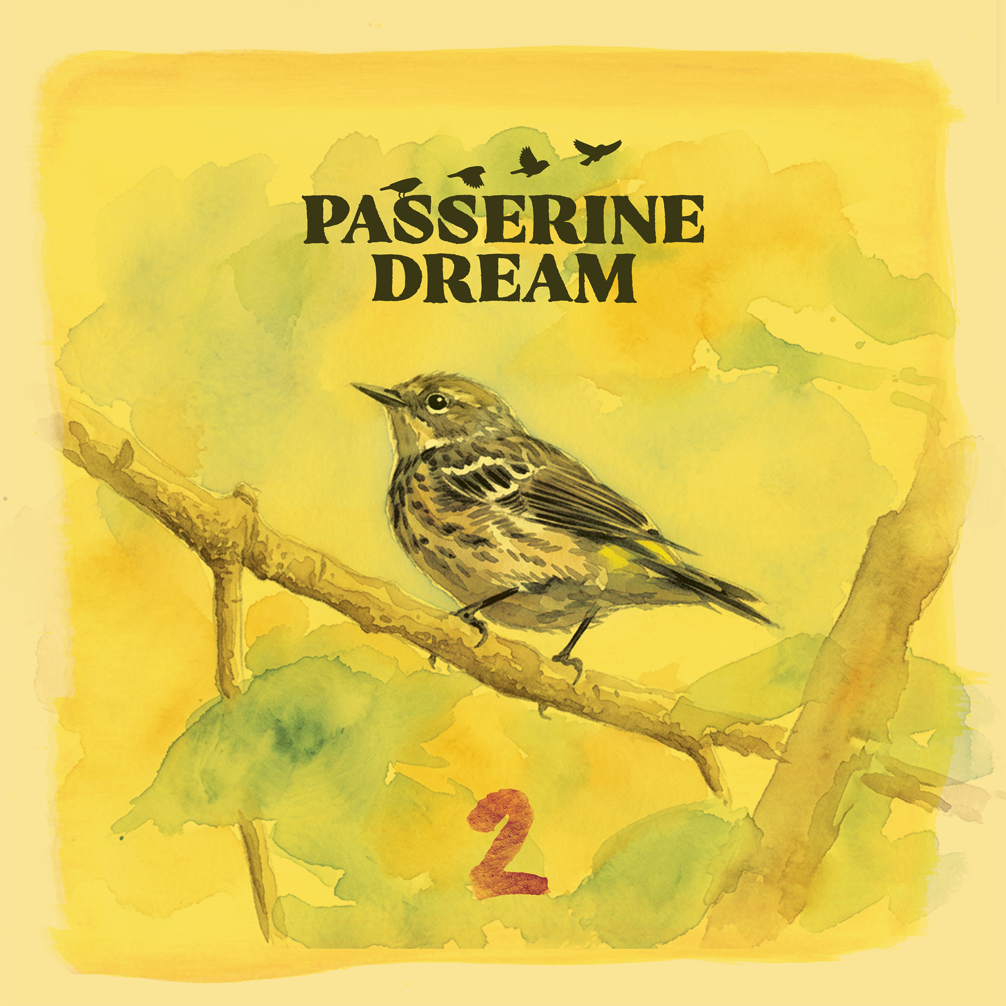 PasserineDream2_Front_v2_Opt2.png