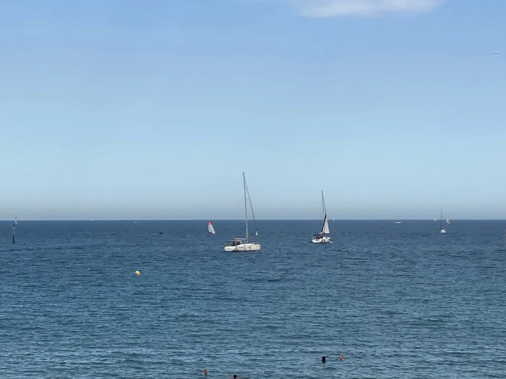 IMG_1121.jpeg