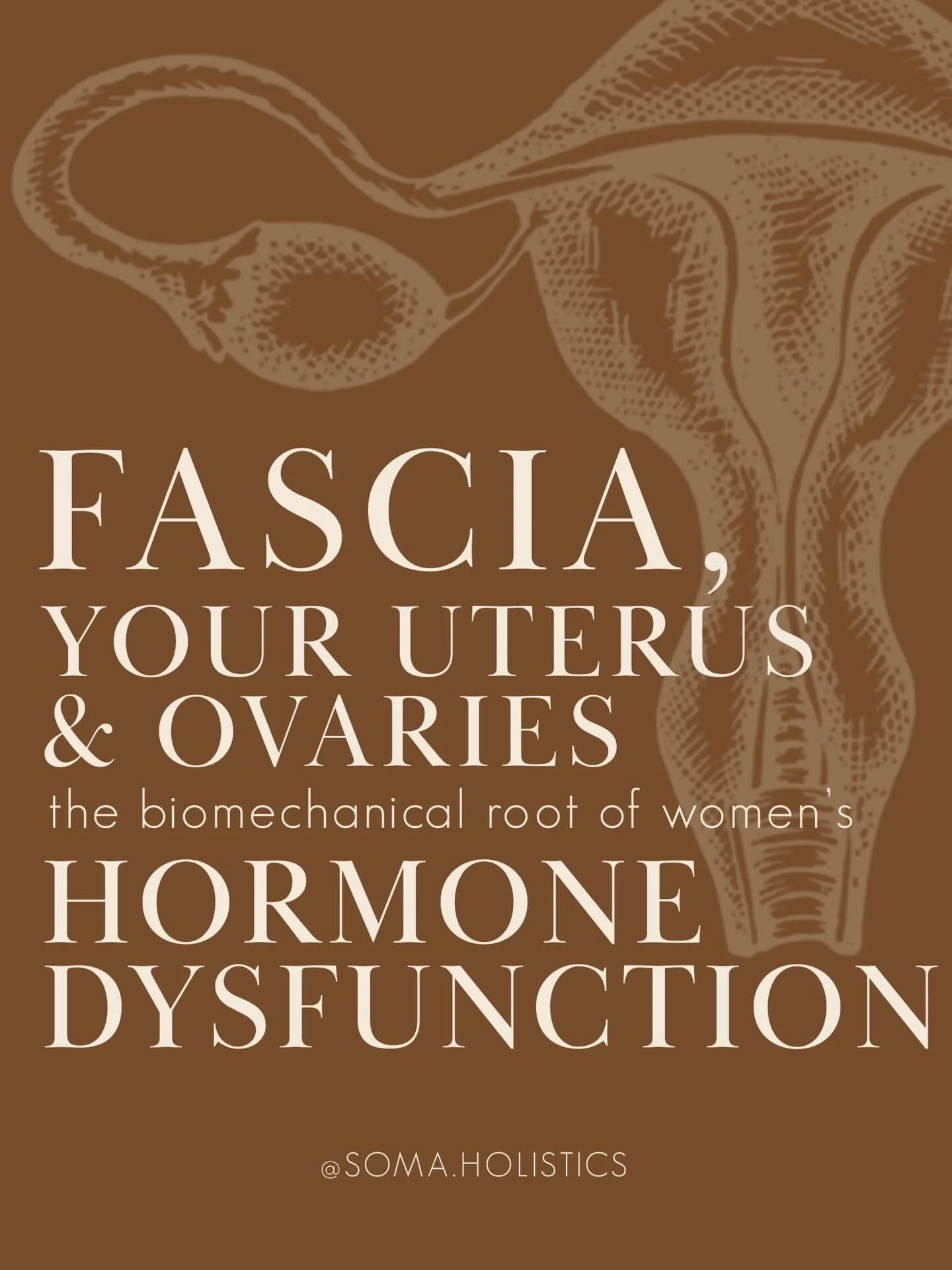 Women often ask&mdash;
is it hormones, the pelvic floor, or trauma?

In the body, it&rsquo;s all woven together.

Womb Hara Bodywork works with the fascia of the uterus, ovaries, and abdominal organs,
while engaging meridian pathways and energy point