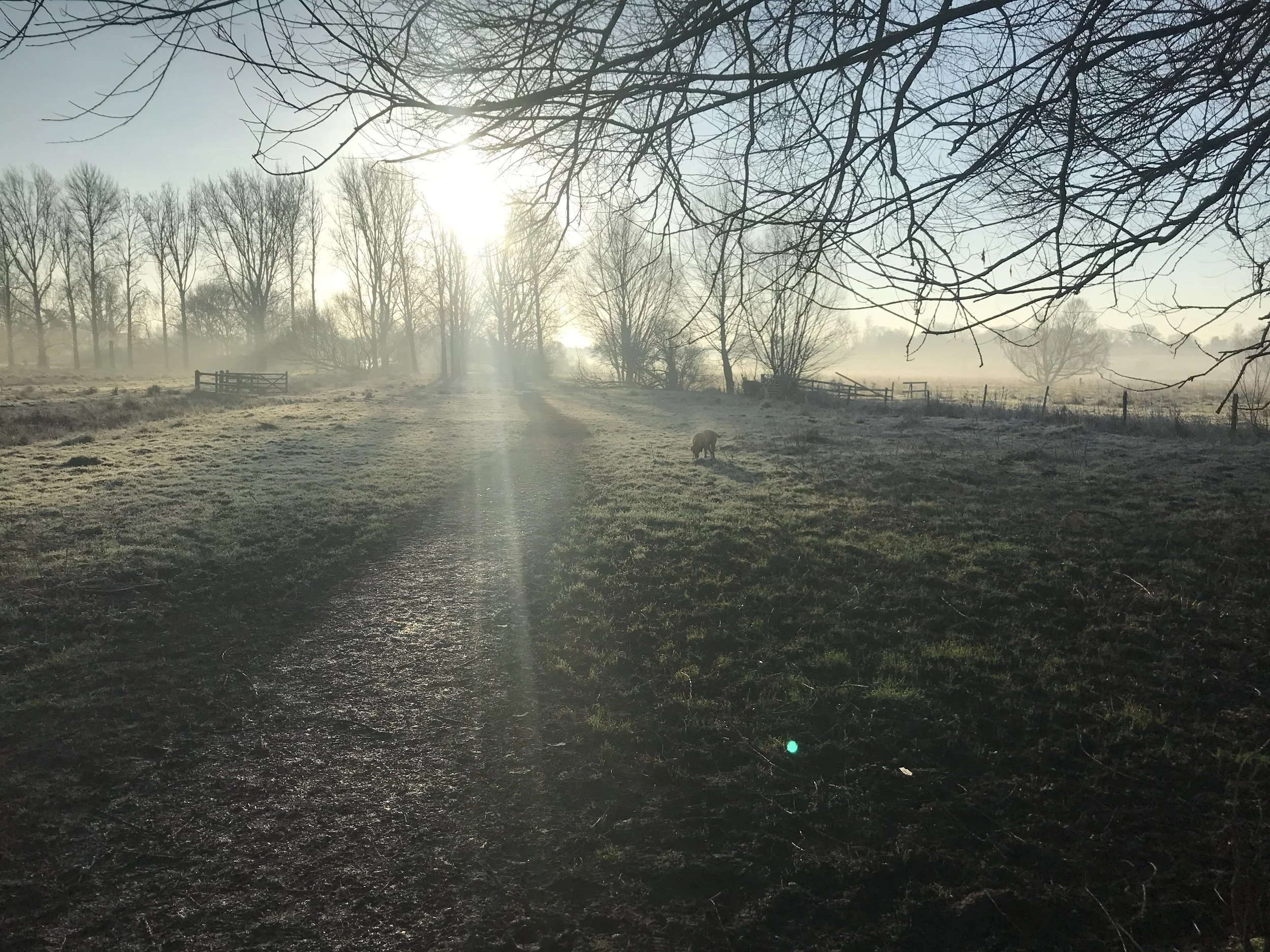 The mental health benefits of running